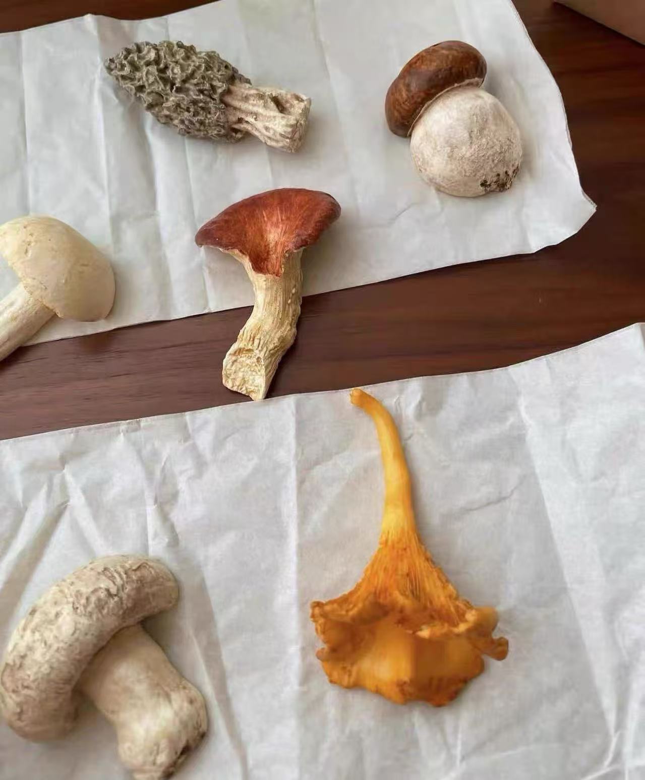 Assorted mushrooms on a white paper background