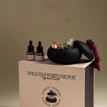Product set with bottles and a pot on a branded box against a beige background
