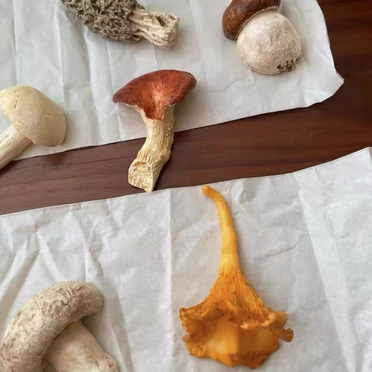 Assorted mushrooms on a white paper background