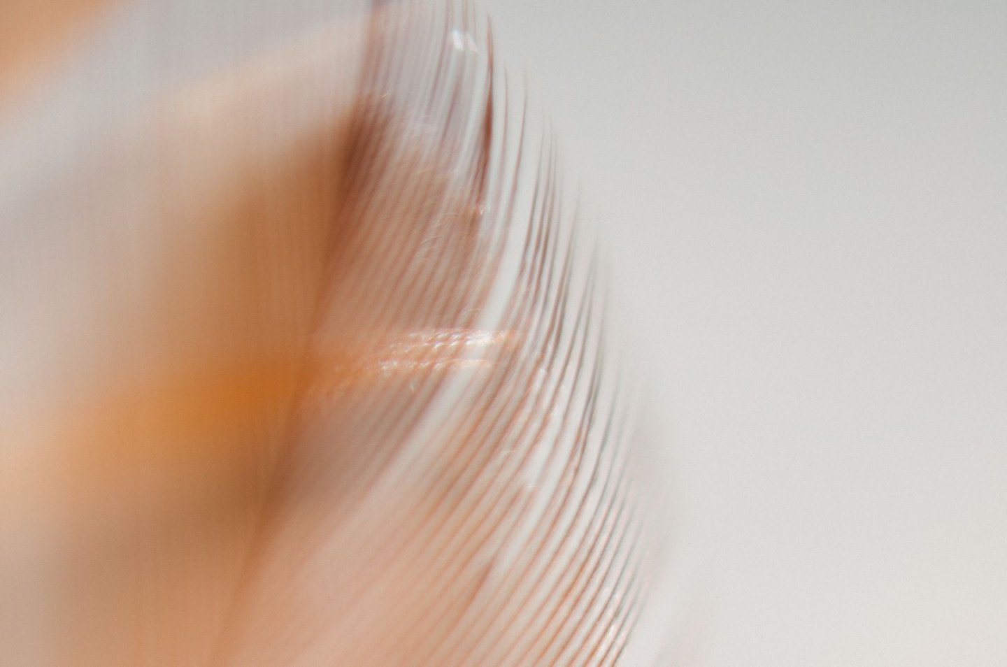 Close-up of a textured surface with concentric circular patterns