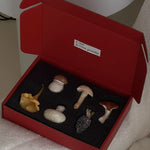 Red box with a black interior containing various small objects on a white surface.