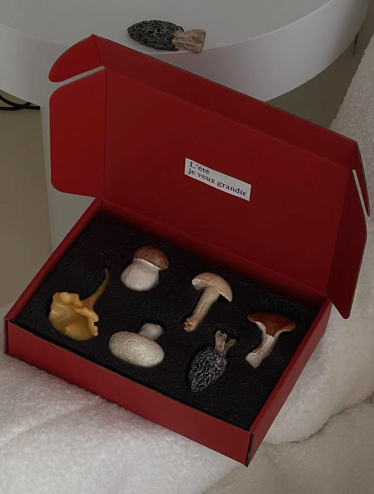 Red box with a black interior containing various small objects on a white surface.